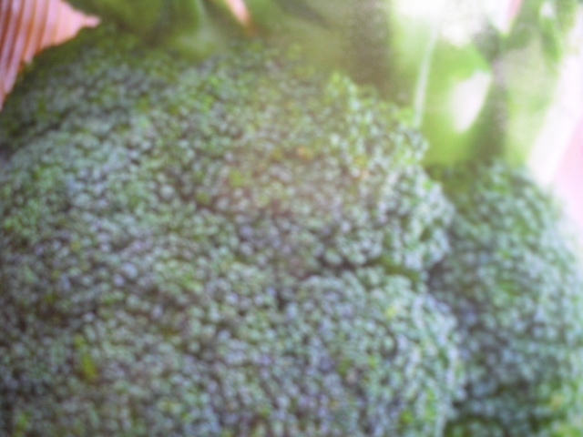 Broccoli Seeds India